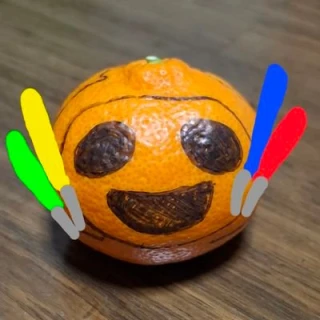 みかん大好き新月子＠カレーライス(中辛)大好き