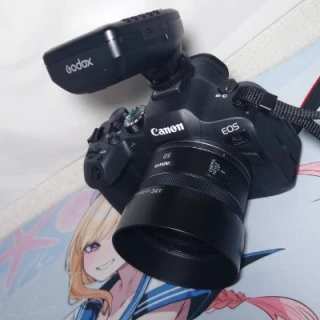 黒闇のネコ(くろねこ)🐈‍⬛📸